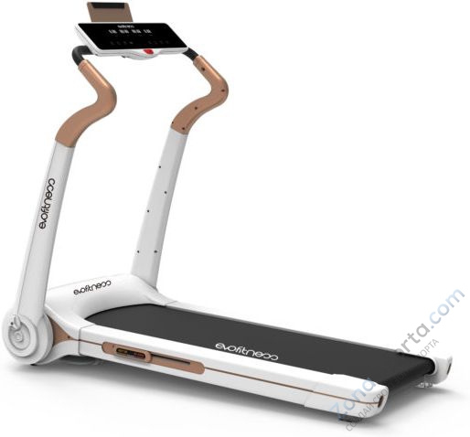 Беговая дорожка Evo Fitness Cosmo 5