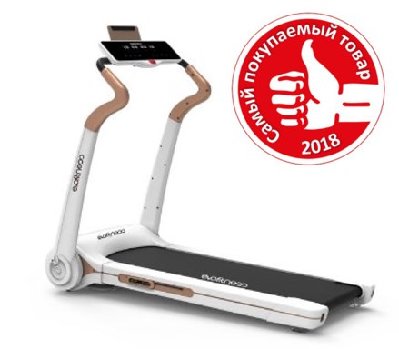 Evo Fitness