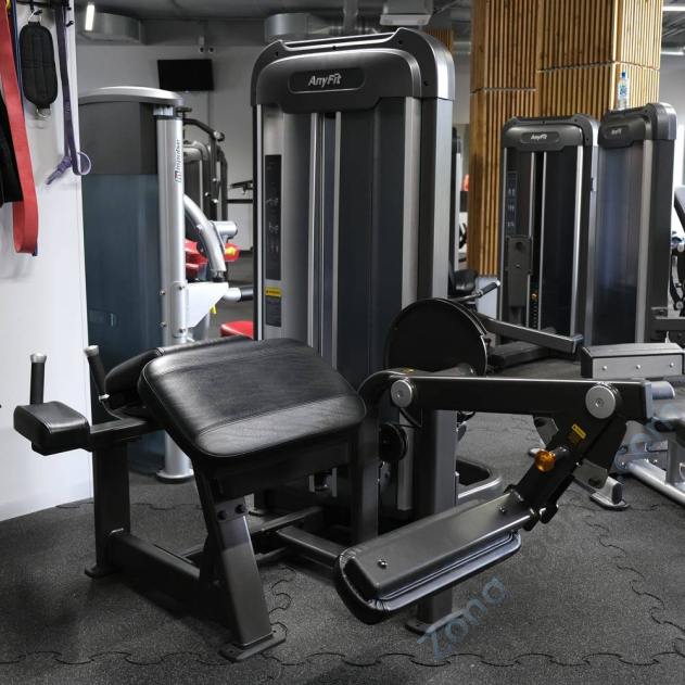 Сгибание ног AnyFit PE203-66