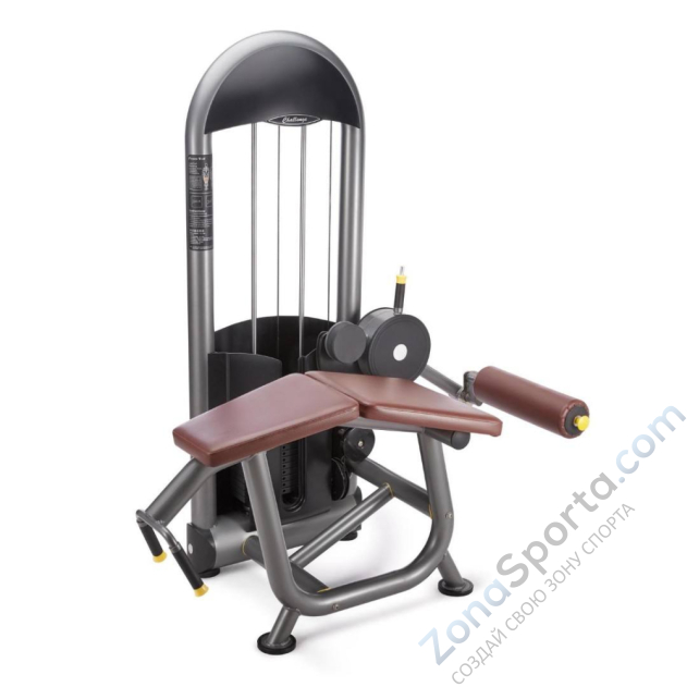 Бицепс сидя Protrain 61A10-60