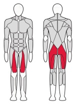 Машина Cмита Fitex FTX-61F33