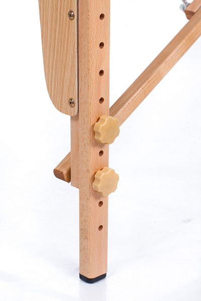 Массажный складной стол Mizomed Premium Pro 2 бежевый