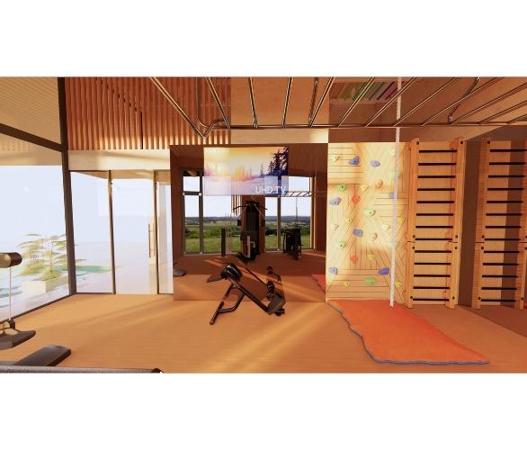 Многофункциональный комплекс с элементами отделки частных яхт и рукоходом шведская стенка Desire Regatta Sky