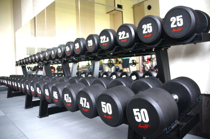 Набор обрезиненных гантелей AeroFIT AFDB40-50