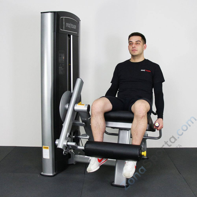 Разгибание ног Protrain 61A24-90