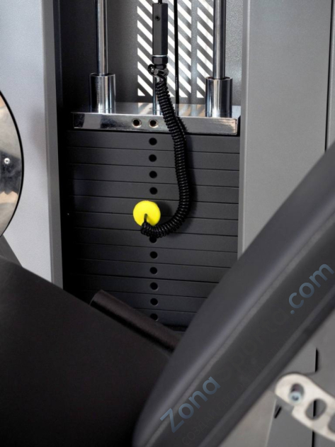 Сгибание ног DK-Sport A306S