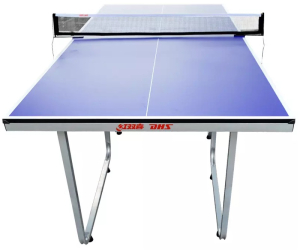 Теннисный стол DHS T919