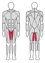 Тренажер для приводящих мышц бедра Fitex Pro FTX-7322