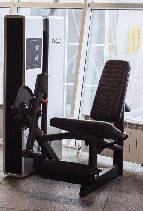 Тренажер Разгибание ног Kraft Fitness KFXLE