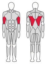 Верхняя тяга рычажная Fitex Pro FTX-61F15A