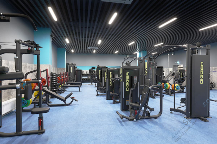 Жим от груди с независимыми рычагами Hasttings Digger HD035-1